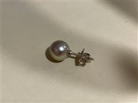 Ohrringe Salvini Dame in Weißgold Perla N733348R - N733348R